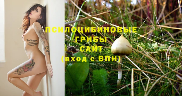 PSILOCYBIN Киреевск