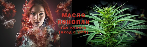 гашик Козельск